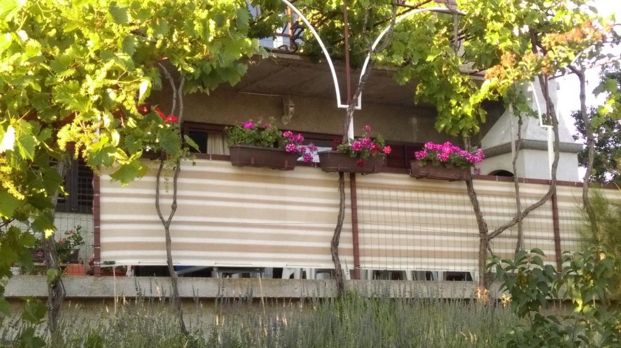 Apartment Kriskovic Novi Vinodolski Dış mekan fotoğraf